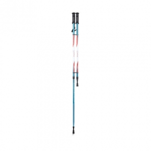 Палки для скандинавской ходьбы STC032 двухсекционные (голубые)